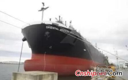 日本飞马海运一艘新造木屑运输船下水投入运营