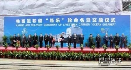 大连中远船务23500㎡大型牲畜运输船正式命名交付