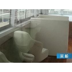 飓母偏惊旅客船 出售11人旅客船