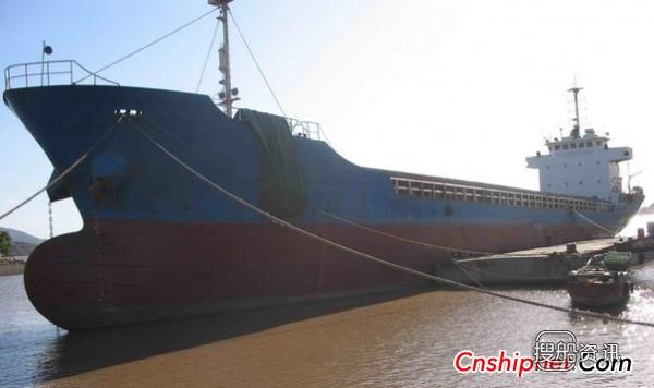 新扬子获2艘8.2万吨散货船订单