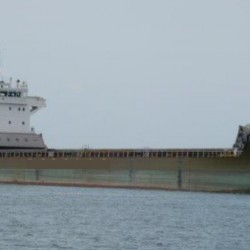 沿海5000吨散货船二手船出售 出售9500吨散货船