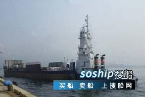 目前最大的集装箱船 出售320箱集装箱船