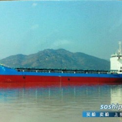 目前最大的集装箱船 出售0箱集装箱船