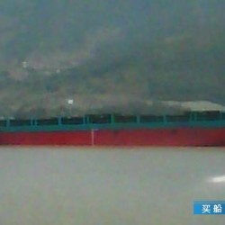 目前最大的集装箱船 出售262箱集装箱船
