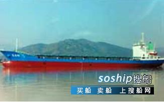 目前最大的集装箱船 出售257箱集装箱船