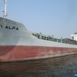 目前最大的集装箱船 出售198箱集装箱船