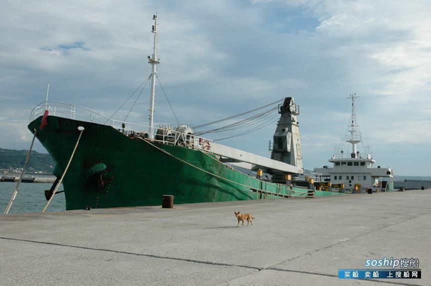 目前最大的集装箱船 出售65箱集装箱船