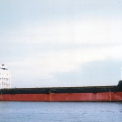 目前最大的集装箱船 出售126箱集装箱船