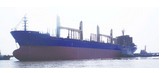 目前最大的集装箱船 出售626箱集装箱船