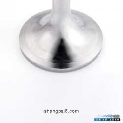 柴油机进气阀 宁动船用柴油机G300系列柴油机进气阀华夏尚德节能专利