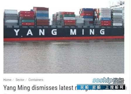 阳明海运持续亏损已成行业最佳收购对象