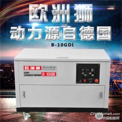 汽油发电机 欧洲狮10kw静音汽油发电机售价图3