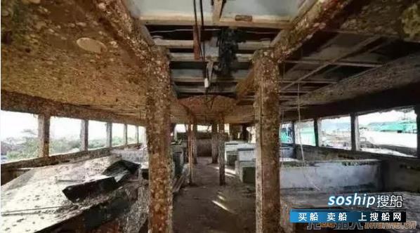 凤凰号被成功拍卖！成交价格20万元人民币