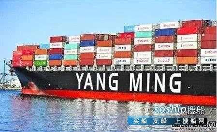 阳明海运上半年业绩大幅改善扭亏转盈