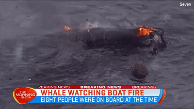 澳黄金海岸附近一观鲸船起火 8人获救无人员伤亡