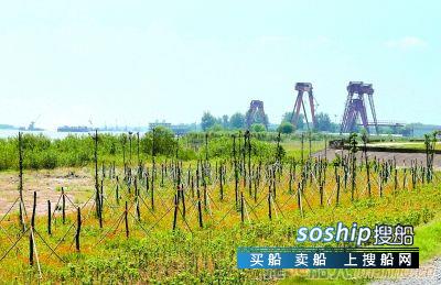 南京市浦口拆除十里造船带