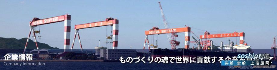 日本大岛造船年度接单目标：30艘散货船