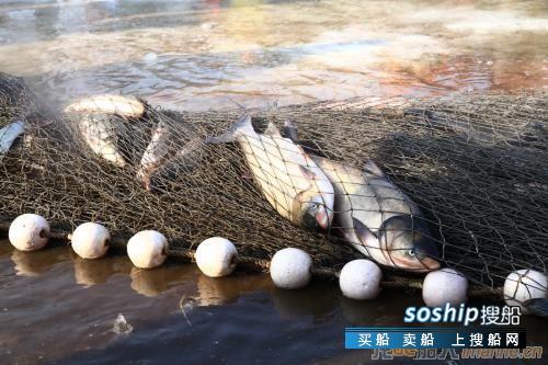 俄安全局：80余名朝鲜公民因非法捕捞被俄方扣押