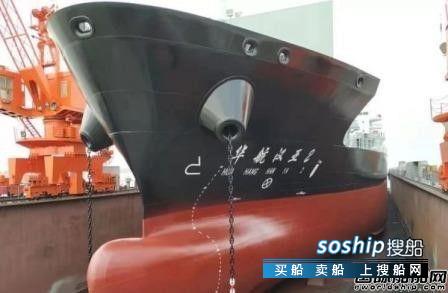 江东船厂交付第二艘500箱级汉亚航线集装箱船