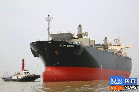 中船澄西接获最多8艘全球最大木屑船订单