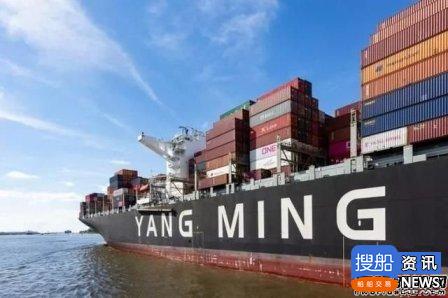 阳明海运：集运市场不会重演2009年惨状