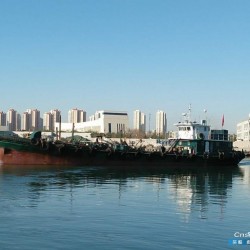 天津油船出售