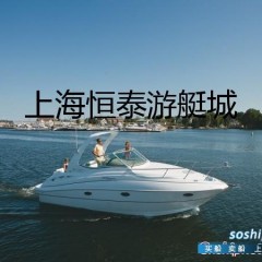 【二手】美国巡洋舰豪华游艇转让图1