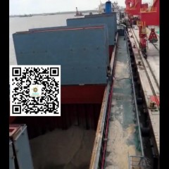 出售近海13500吨散货船(船舶)图1