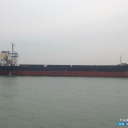 出售49000吨近海散货船(2010年造）