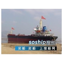 供应5000吨干杂货船/集装箱船