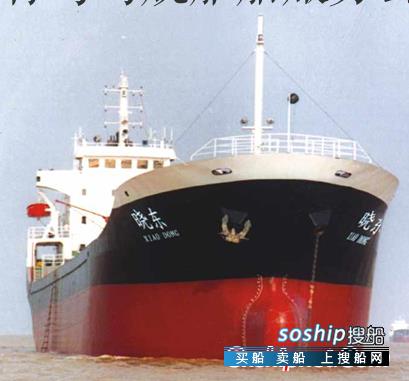 集装箱 6000吨 海进江船型