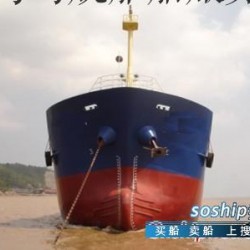 120TEU 集装箱船敞口式