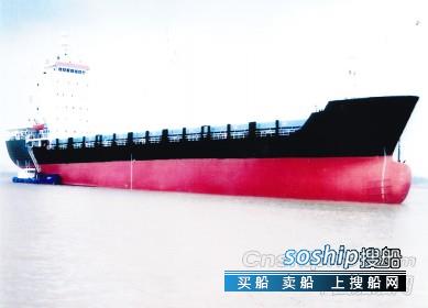 出售11000吨484多用途船