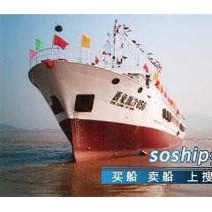 供应冷藏冷冻渔运船图1
