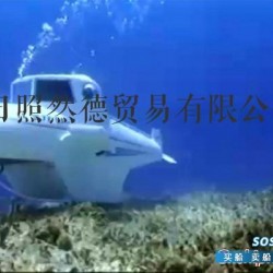 出售加拿大进口多功能潜水器、拓奇潜水器 长 335cm