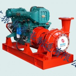 柴油机应急消防泵 CWY型