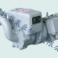 船用卧式自吸离心漩涡泵 CWX型图1