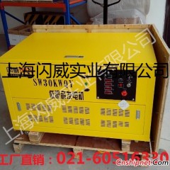 美国进口汽油发电机柴油发电机带电焊机发电电焊机图1
