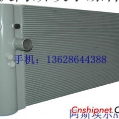 22440002阿斯达冷却器图1