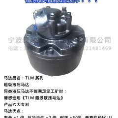 供应生产厂家泰勒姆斯YLM系列外五星低速大扭矩液压马达图2