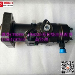 川柴CW6200柴油机单体泵620008150028喷油泵