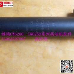 川柴CW6200柴油机C62.09.10.1000喷油器
