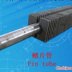 翅片管图1