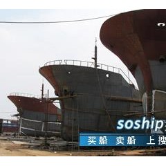 专业建造油船图1