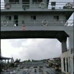 求购沿海车渡船图1