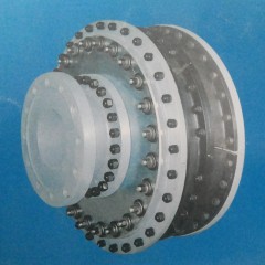 齿轮箱高弹联轴器 高弹性联轴器图1