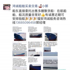 出售多艘散货船