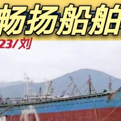 出售3300吨散货船