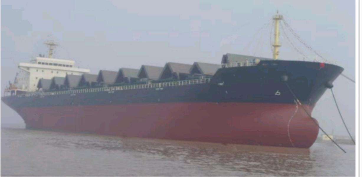 出售56880吨散货船Sale of 56880-ton bulk carriers