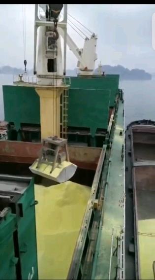 出售12000吨散货船方便旗Sale of flag of convenience for 12000t bulk carriers